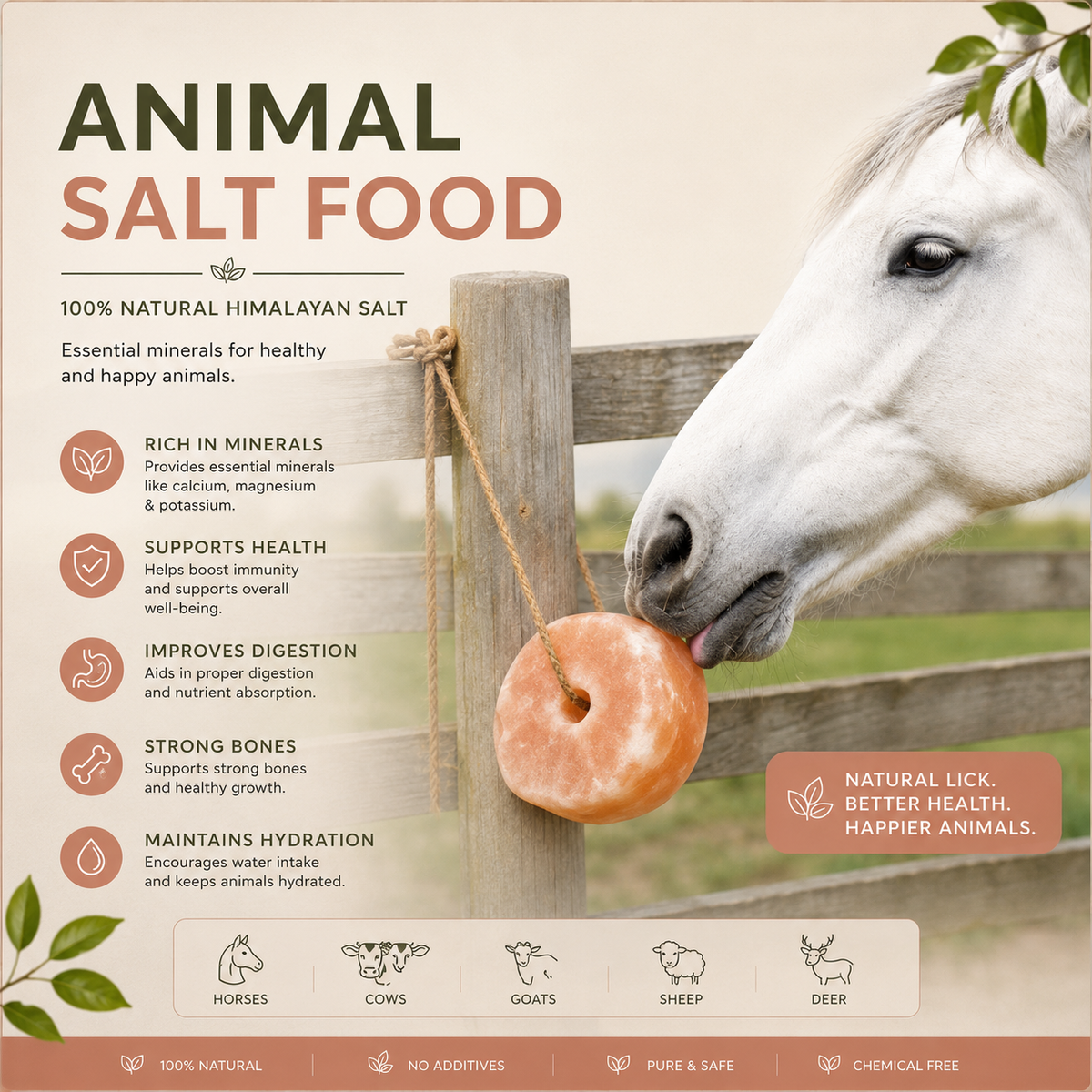 Himalayan Salt Lick for Animals – Natural Mineral Supplement